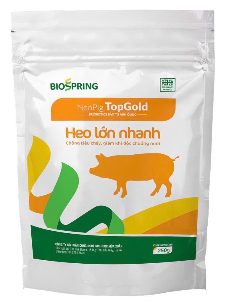 NeoPig TopGold