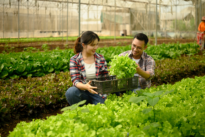 Nông nghiệp & trồng trọt